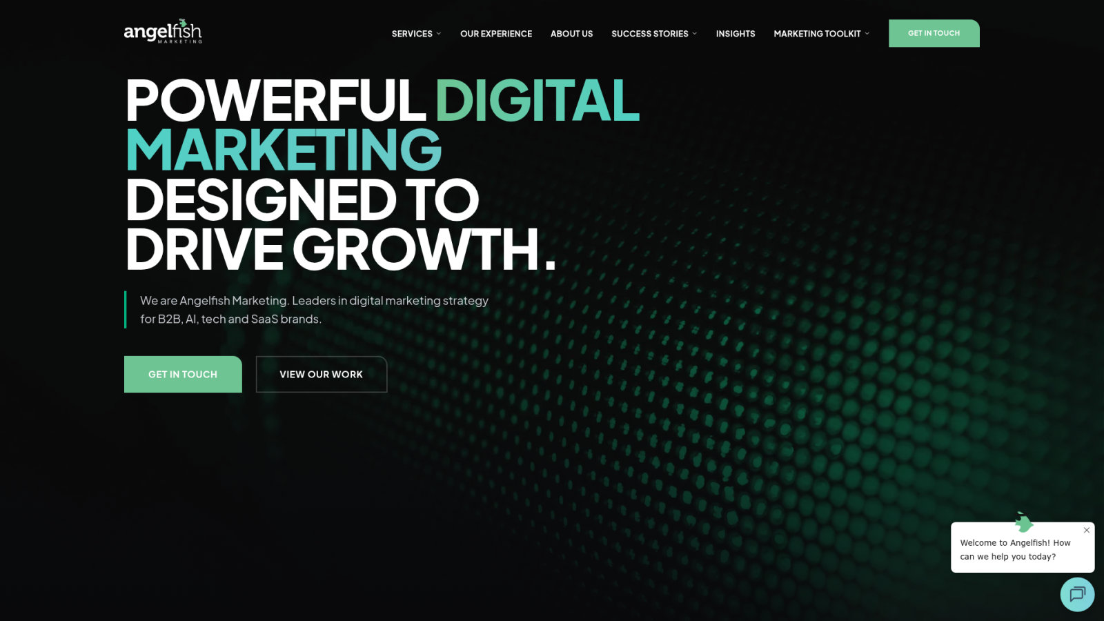 ANGELFISH MARKETING. Lead Generation through Inbound Mastery.